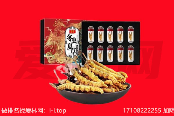 阿里地区普兰回收虫草.jpg